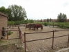 dscf5414 dscf5414